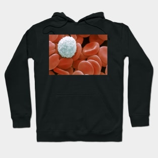 Colour SEM of red & white blood cells (P242/0218) Hoodie